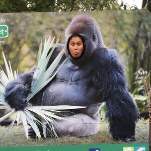 Meet your Posher, Gladys